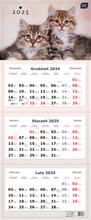 KALENDARZ ŚCIENNY TRÓJDZIELNY 2025 INTERDRUK KOTY KOTKI PRODUKT POLSKI