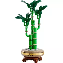 LEGO DRACENA SANDERA BOTANICALS BAMBUS + OZDOBA W KSZTAŁCIE SERCA + 2xTORBA