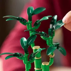 LEGO DRACENA SANDERA BOTANICALS BAMBUS + OZDOBA W KSZTAŁCIE SERCA + 2xTORBA