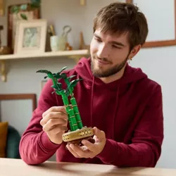 LEGO DRACENA SANDERA BOTANICALS BAMBUS + OZDOBA W KSZTAŁCIE SERCA + 2xTORBA