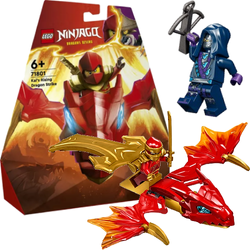 LEGO NINJAGO ATAK POWSTAJĄCEGO SMOKA KAIA STRAŻNIK AKCESORIA 24 EL. 71801