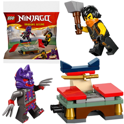 LEGO NINJAGO TURNIEJOWY TEREN SZKOLENIOWY COLE WOJOWNIK SASZETKA 30675