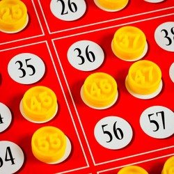 LUDOTECA BINGO GRA RODZINNA TOWARZYSKA KARTY PISAKI ZMYWACZ LISCIANI