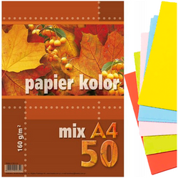 PAPIER KOLOROWY KRESKA FORMAT A4 50 KARTEK 5 KOLORÓW 160g