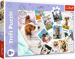 PUZZLE 300 ELEMENTÓW ZDJĘCIA Z WAKACJI PIESKI PSY UKŁADANKA - 23003 TREFL