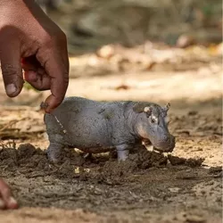 SCHLEICH HIPOPOTAM FIGURKA KOLEKCJONERSKA RĘCZNIE MALOWANA ZWIERZĘ