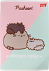 PUSHEEN ZESTAW UPOMINKOWY PLASTYCZNY WYPRAWKA KOT KREDKI FARBY DŁUGOPIS