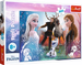 PUZZLE 300 ELEMENTÓW KRAINA LODU FROZEN MAGICZNY CZAS - 23006 TREFL