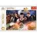 PUZZLE TAJEMNICZY HARRY POTTER 300 ELEMENTÓW UKŁADANKA - 23001 TREFL